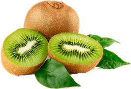 pngfind.com-kiwi-png-229810